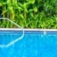 Top 5 Landscaping Ideas for Your Pool