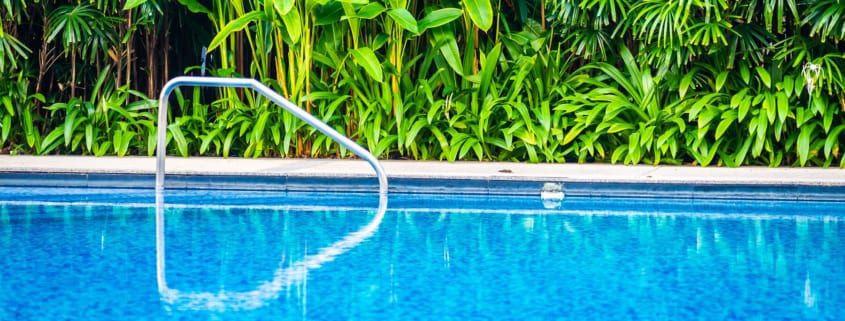 Top 5 Landscaping Ideas for Your Pool