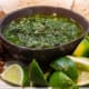 Braised Carnitas with Chimichurri Sauce560