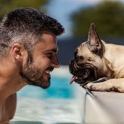 Keep Your Dog From Drinking Pool Water