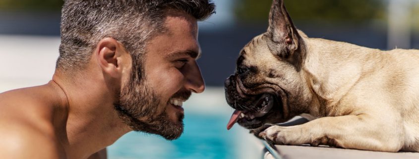 Keep Your Dog From Drinking Pool Water