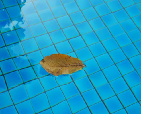 Fall Tips for Your Pool: Leaf Removal