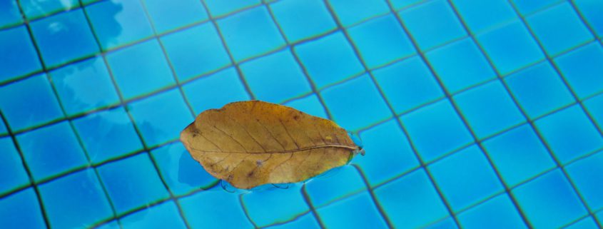 Fall Tips for Your Pool: Leaf Removal