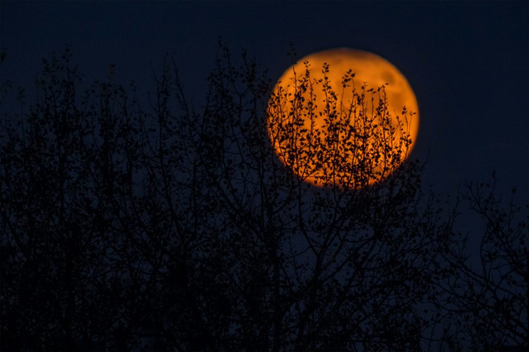 Halloween Moon