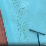 Pool Care - Algae or Sand