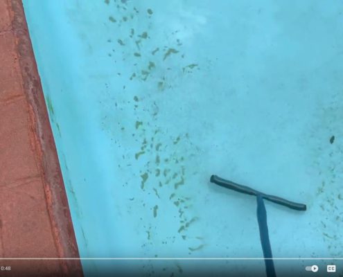 Pool Care - Algae or Sand