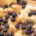 Blueberry French Toast Casserole