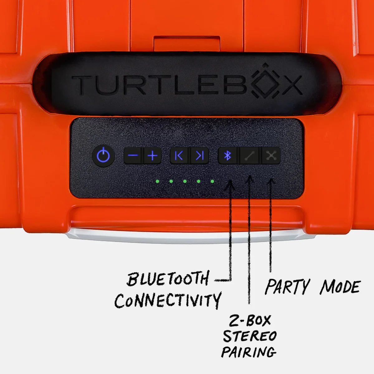 Turtle Box Original