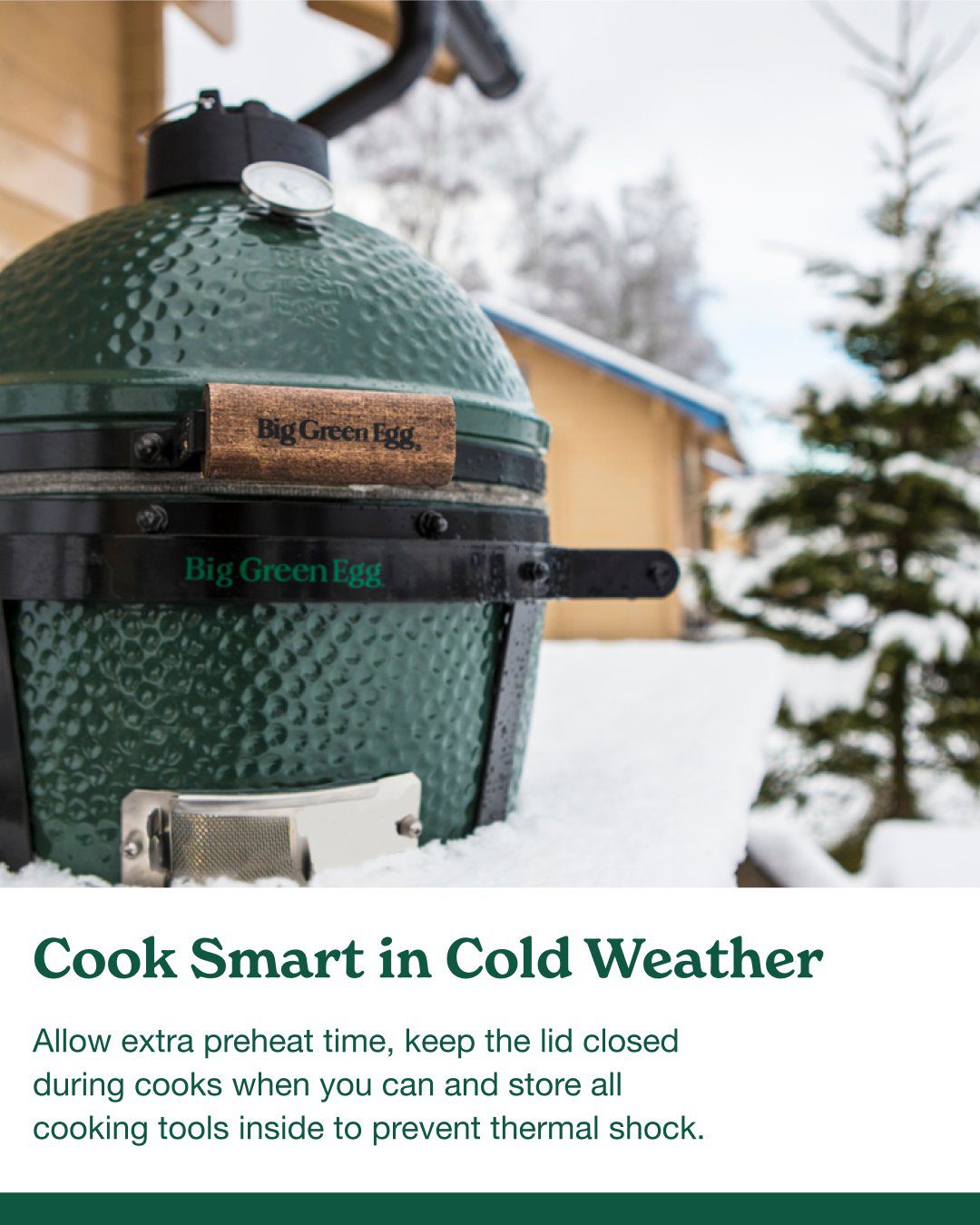 Cold Weather Care for Your Big Green Egg