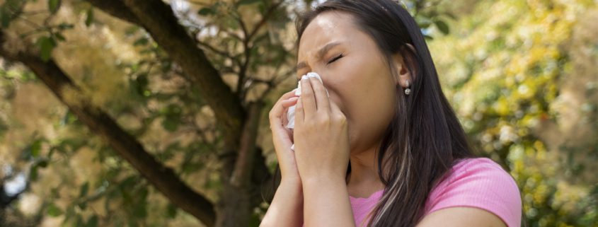 Sneezing Season in Arkansas Here Is How to Feel Better